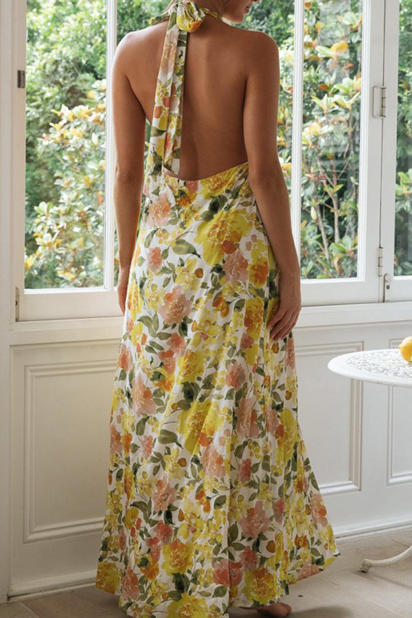Fashion Halter Neck Long Backless Dress